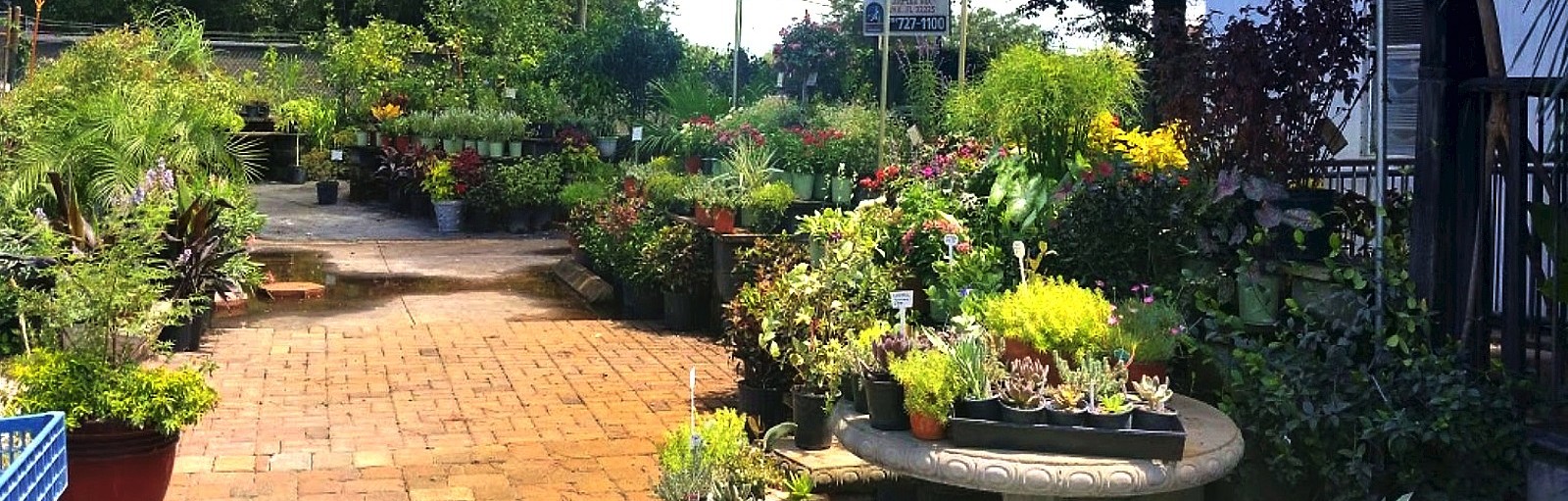 COMAND™ Turf Soil, Mulch Masters Jacksonville FL