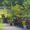 Landscape Supplies - Blog