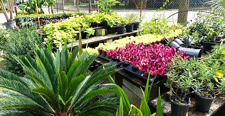 Garder Center Garder Center