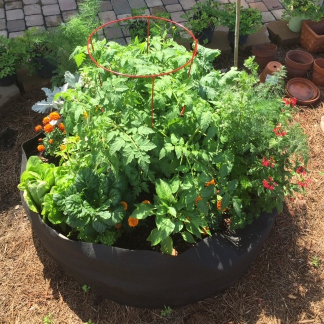 Wild Earth Soil Mix3 Wild Earth Soil Mix3